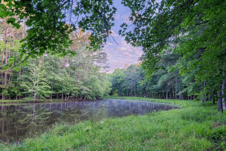 Ponder | New home community in Wendell NC