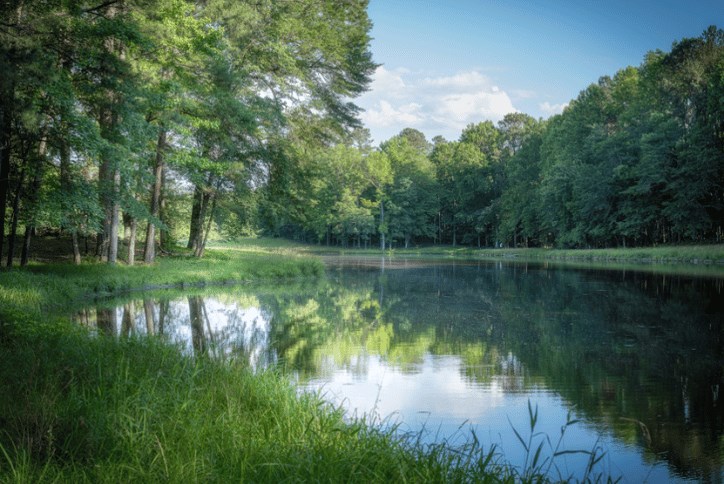 Ponder Lake, New Homes in Wendell NC