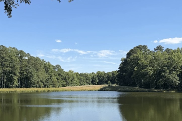 Ponder Lake June 2026