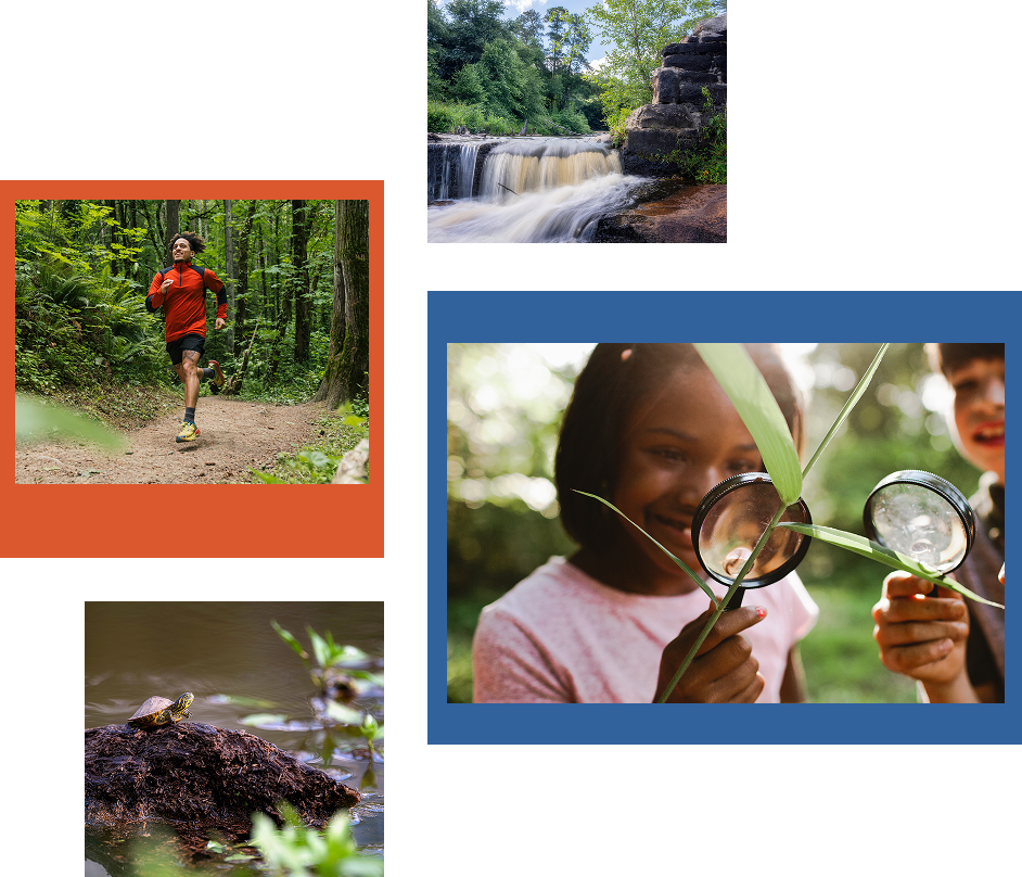 Ponder amenities collage