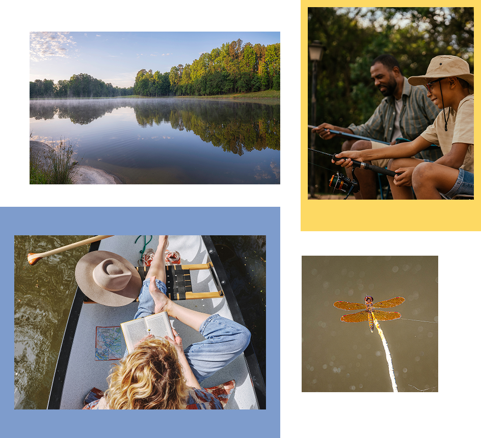 Ponder amenities collage