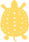 turtle graphic