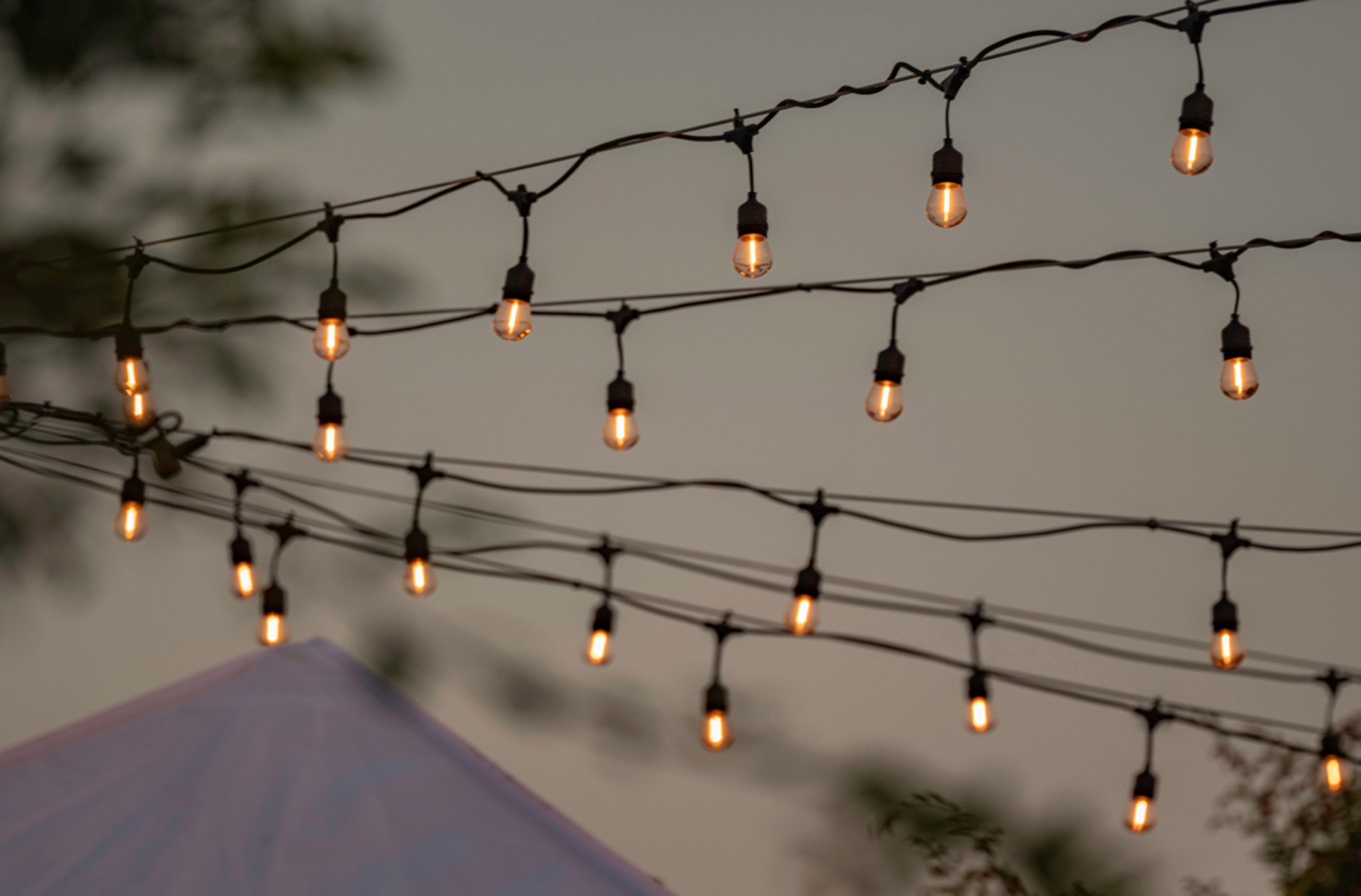 string lights at Ponder community in Wendell, NC