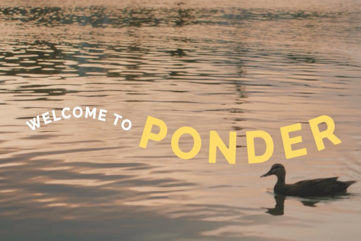 Ponder, new homes Wendell NC