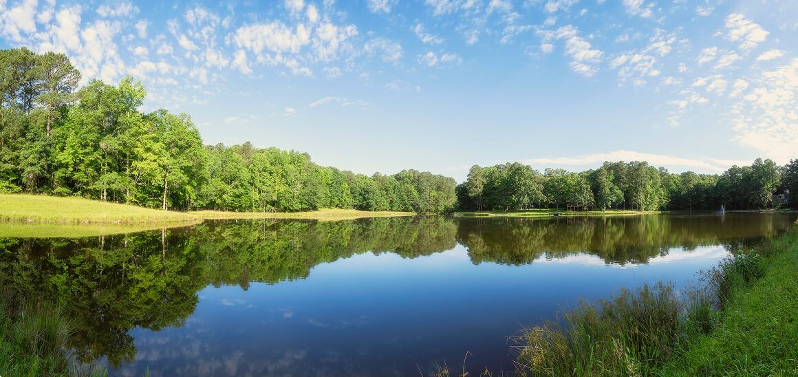 Pond in Ponder Community Wendell North Carolina