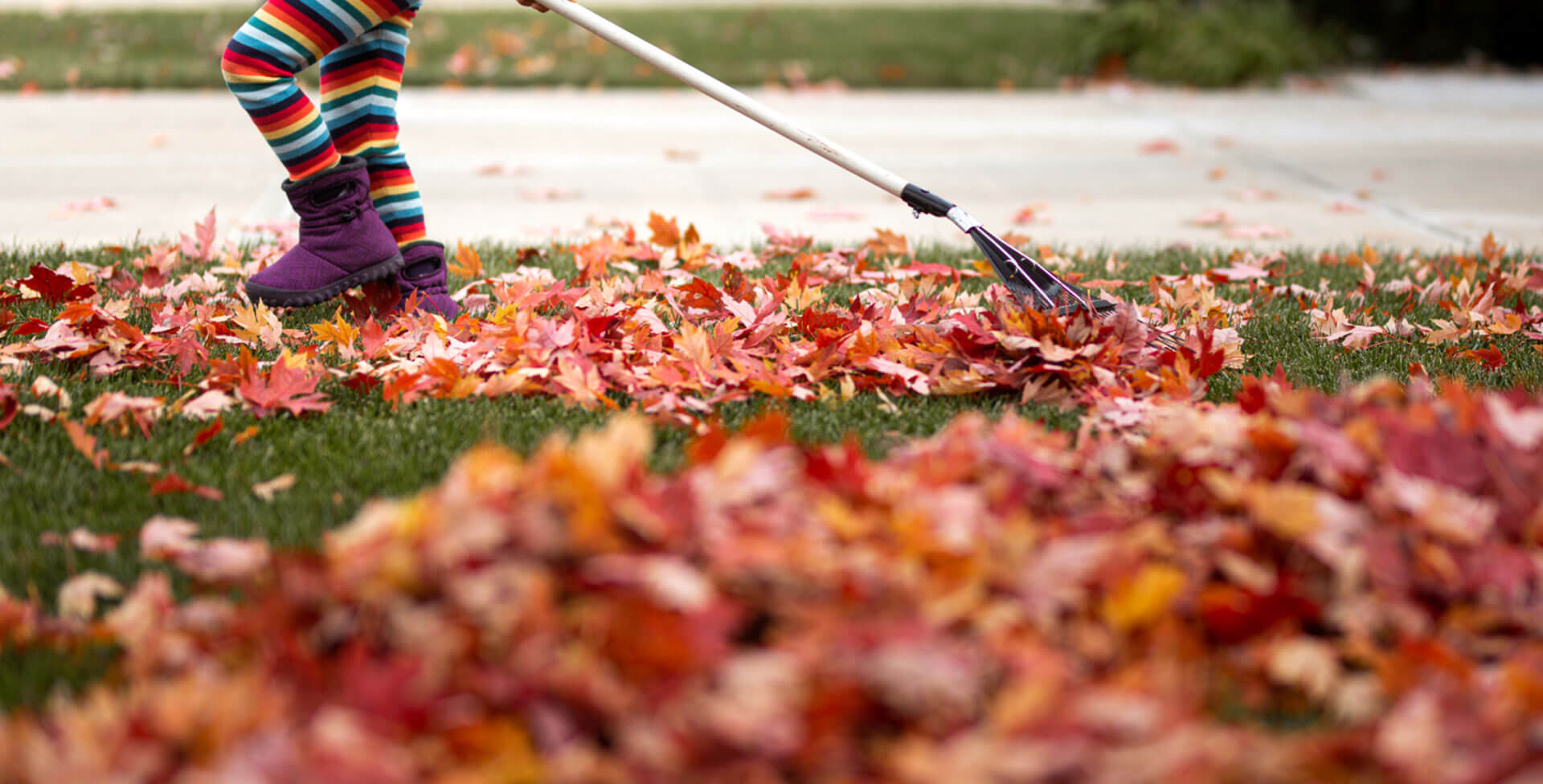 Child raking leaves